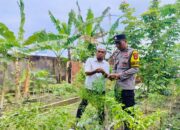 Sinergi Bhabinkamtibmas dan Warga Desa Bajur Sulap Lahan Kosong Jadi Area Produktif