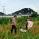 Kawal Program Pemerintah, Bhabinkamtibmas Polsek Labuapi Turun ke Sawah Dampingi Petani