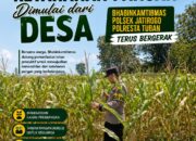 Polri dukung progam Astacita, Polsek Jatirogo Polresta Tuban Turun Cek Tanaman jagung Warga di Desa Jombok