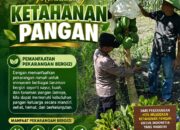 Bhabinkamtimas Polsek Senori Polresta Tuban Polda Jatim Sambang Pekarangan Pangan Bergizi Warga Desa Srndang Guna Mendukung Ketahanan Pangan
