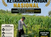 Polri Dukung Astacita, Polsek Semanding Polresta Tuban Turun Cek Tanaman jagung milik Warga di Desa Tegalagung