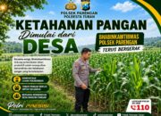 DUKUNG KETAHANAN PANGAN NASIONAL, BHABINKAMTIBMAS DESA PACING POLSEK PARENGAN POLRESTA TUBAN MONITORING LAHAN JAGUNG MILIK PETANI DI DESA PACING KEC. PARENGAN.