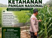 Polri Dukung Astacita, Polsek Rengel Polresta Tuban Turun Cek Tanaman Jagung Warga di Desa Sawahan