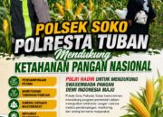 Polsek Soko Polresta Tuban Turun Langsung Cek Tanaman Jagung Warga