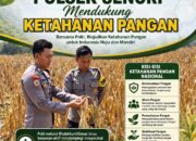 Mendukung Program Ketahanan Pangan Nasional Unit Binmas Polsek Senori Polresta Tuban Memantau Tanaman Jagung Milik Warga Desa Jatisari Kecamatan Senori