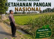 Polri Dukung Astacita, Polsek Semanding Polresta Tuban Turun Cek Tanaman jagung milik Warga di Kelurahan karang