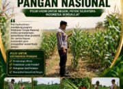 “DUKUNG KETAHANAN PANGAN, POLSEK KEREK PEMANTAUAN TANAMAN JAGUNG DI DESA BINAAN”