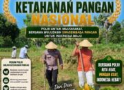 Tingkatkan Ketahanan Pangan Nasional, Anggota Polsek Bancar Tanam Jagung Bersama Warga Desa Ngujuran