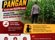 Polsek Soko Polresta Tuban Turun Langsung Cek Tanaman Jagung Warga