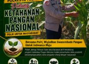 Dukung Asta Cita, Polsek Jatirogo Turun Langsung Pantau Ladang Jagung Warga Desa Paseyan