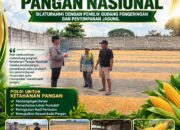 POLSEK KEREK SAMBANG GUDANG PENAMPUNGAN JAGUNG, DUKUNG KETAHAN PANGAN NASIONAL