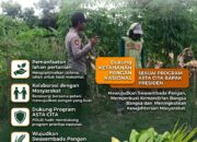 Polsek Grabagan Polresta Tuban Turun Langsung Cek Tanaman Jagung Warga