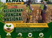Polri Dukung Astacita, Polsek Rengel Polresta Tuban Turun Cek Tanaman Jagung Warga di Desa Sawahan