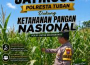 Turun ke Ladang Demit, Polsek Jatirogo Kawal Jagung Demi Swaembada Pangan