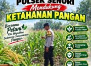 Bhabinkamtibmas Polsek Senori Pantau Tanaman Jagung Warga Desa Jatisari Dukung Ketahanan Pangan