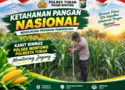 Polsek Montong Polresta Tuban Turun Cek Tanaman jagung Warga di Desa Pucangan