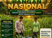 Polsek Plumpang Polresta Tuban Turun Langsung Cek Tanaman Jagung Warga