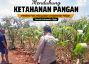 *Polsek Tuban Pantau Lahan Jagung Warga, Dukung Ketahanan Pangan Nasional*