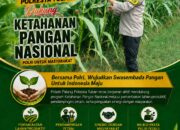 Dukung Astacita, Polsek Palang Polresta Tuban Pantau Langsung Lahan Jagung milik warga Desa Glodog