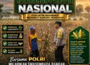 Polsek Plumpang Polresta Tuban Turun Langsung Cek Tanaman Jagung Warga