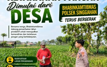 Anggota Polsek Singgahan Polresta Tuban Turun Cek Tanaman jagung Warga di Desa Mulyorejo