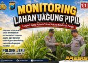 Polri Dukung Astacita, Polsek jenu Polres Tuban Turun Cek Tanaman Jagung Warga di Desa mentoso