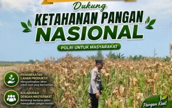 Polri Dukung Astacita, Polsek Rengel Polresta Tuban Turun Cek Tanaman Jagung Warga di Desa Sawahan