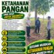Anggota Polsek Singgahan Polresta Tuban Turun Cek Tanaman jagung Warga di Desa Tingkis