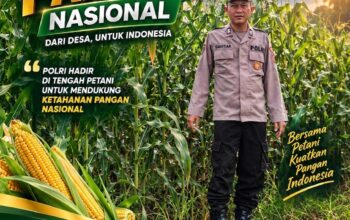Polsek Plumpang Polresta Tuban Turun Langsung Cek Tanaman Jagung Warga