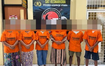 Polisi Bongkar Budidaya Magic Mushroom di Lombok Utara, 407,63 Gram Disita
